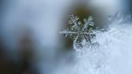 Why Snowflakes Are Unique: The Science of Crystallization
